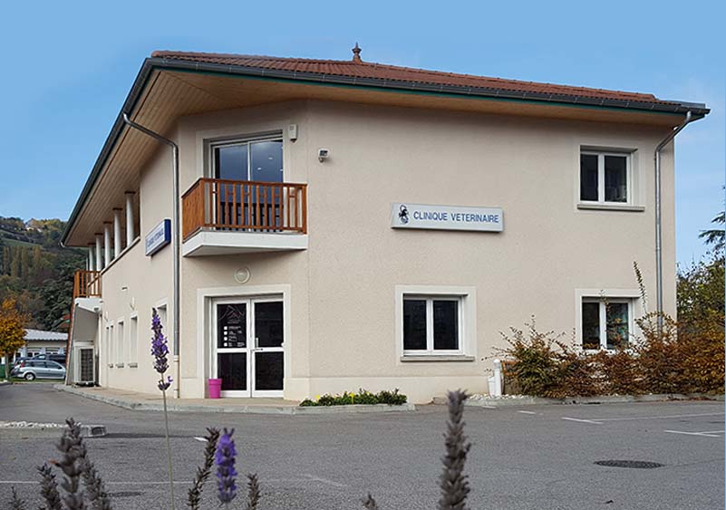 ARTEMIS-SAINT-MARCELLIN